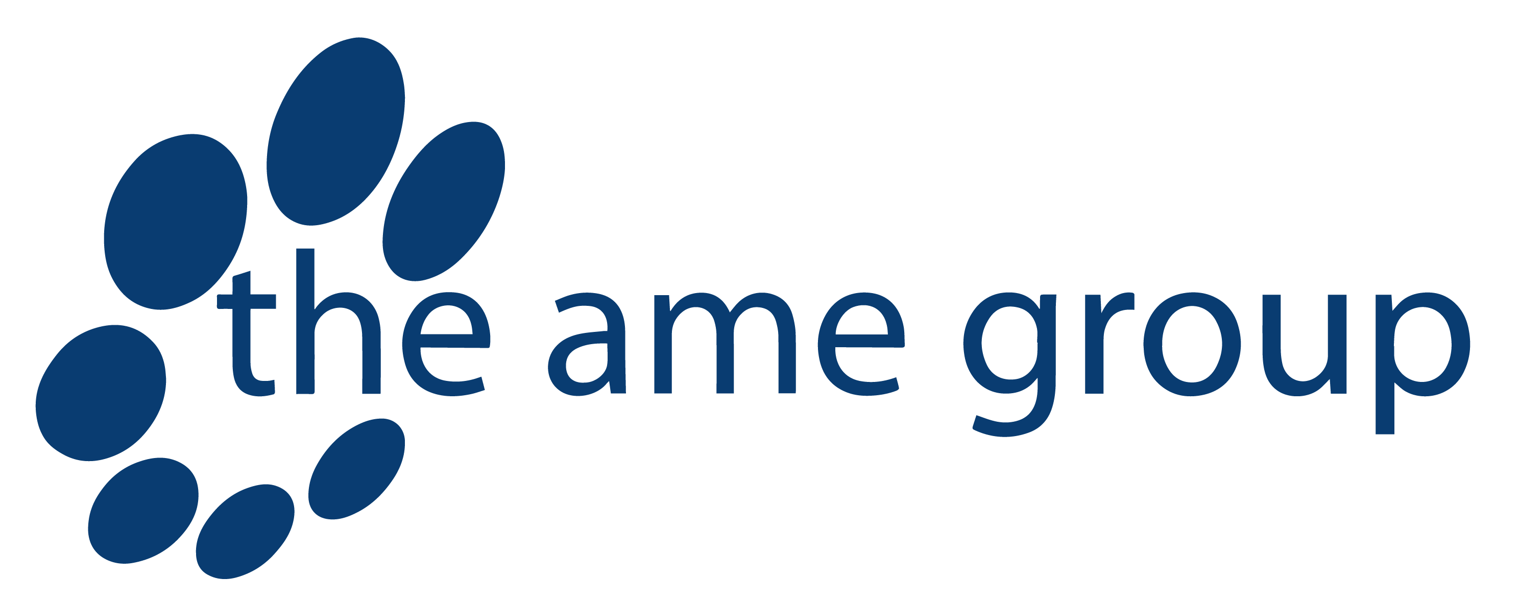 The AME Group logo