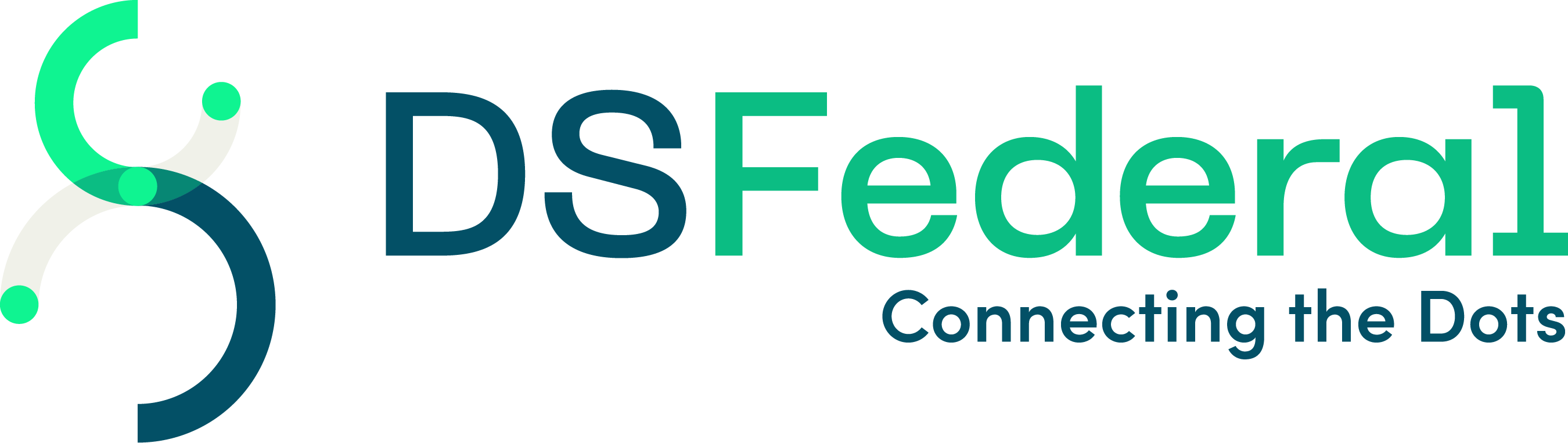 DSFederal, Inc. logo